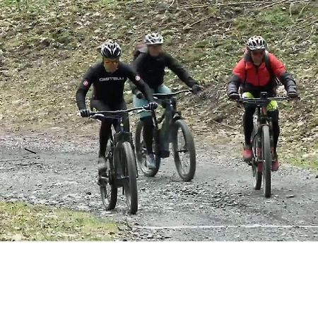 Le Cocon Du Catogne Proche Martigny Verbier - Netflix - Valettes Exterior foto