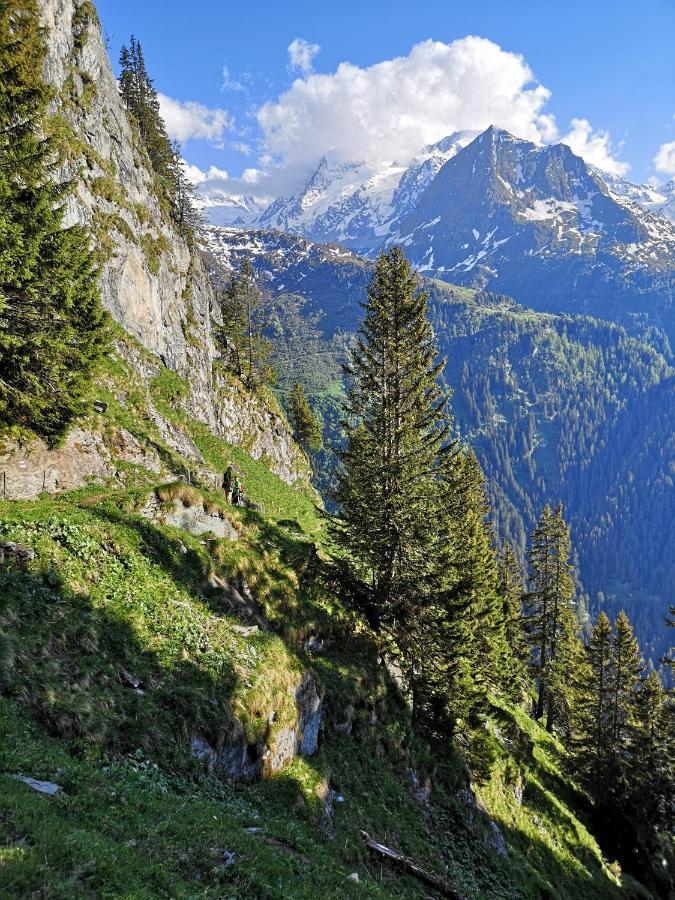 Le Cocon Du Catogne Proche Martigny Verbier - Netflix - Valettes Exterior foto